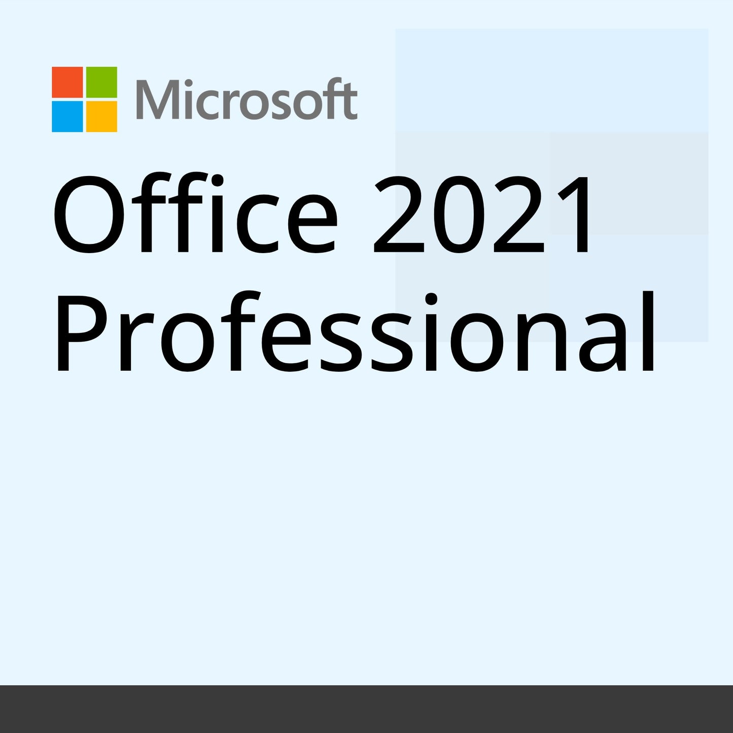 Office 2021 Professional
