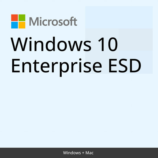 Windows 10 Enterprise ESD