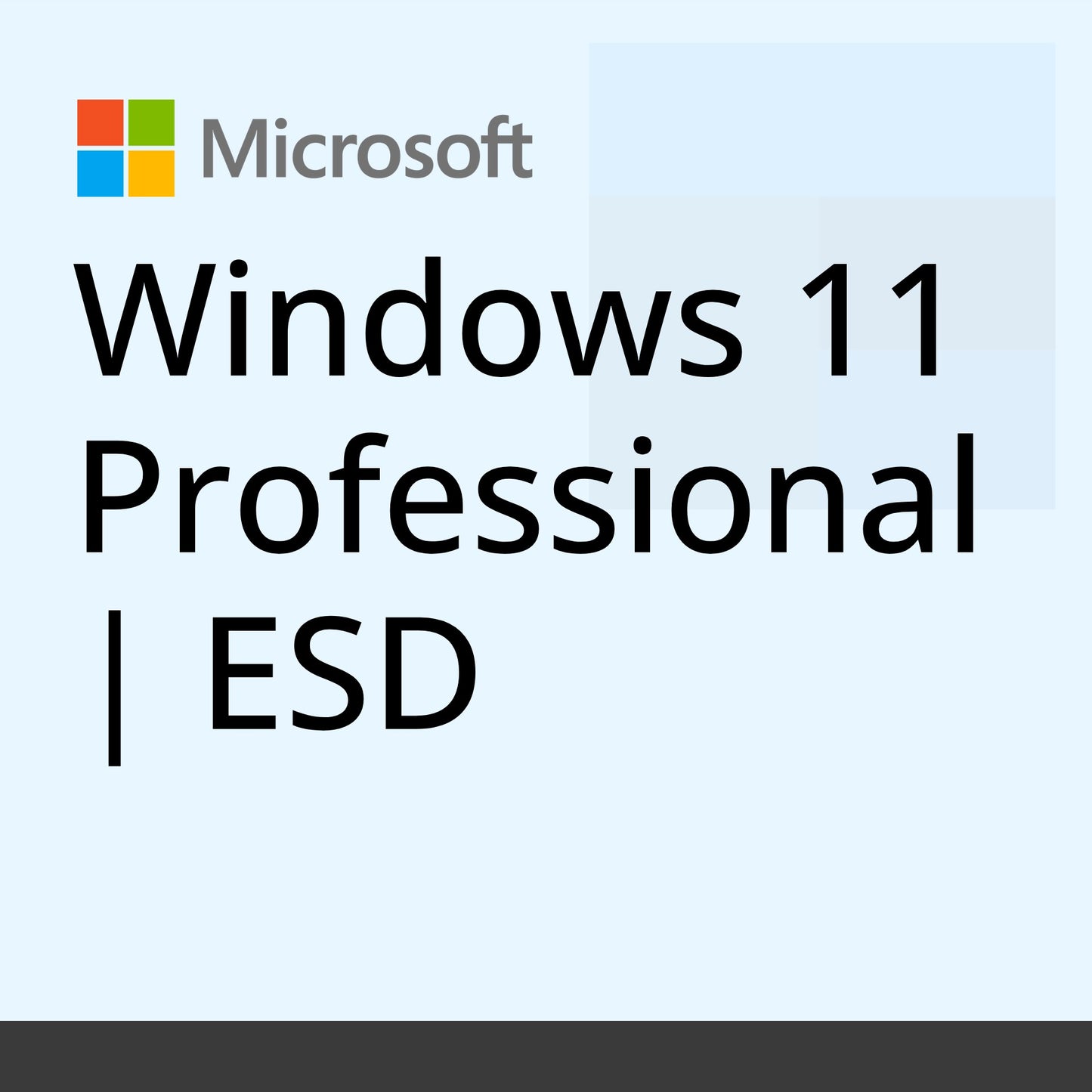 Windows 11 Professional | ESD