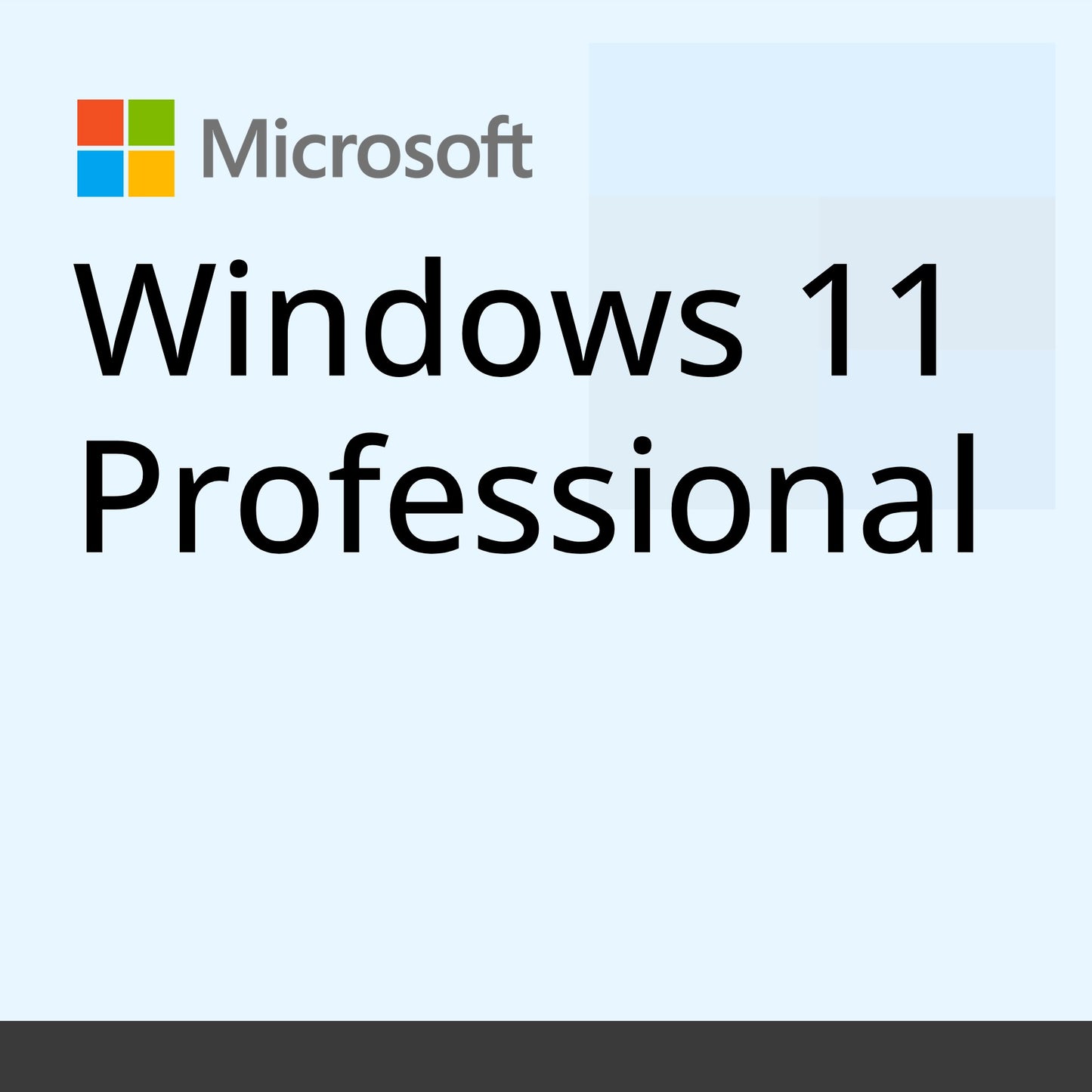 Windows 11 Professional